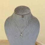 Silver Colour Dolphin Pendant Chain